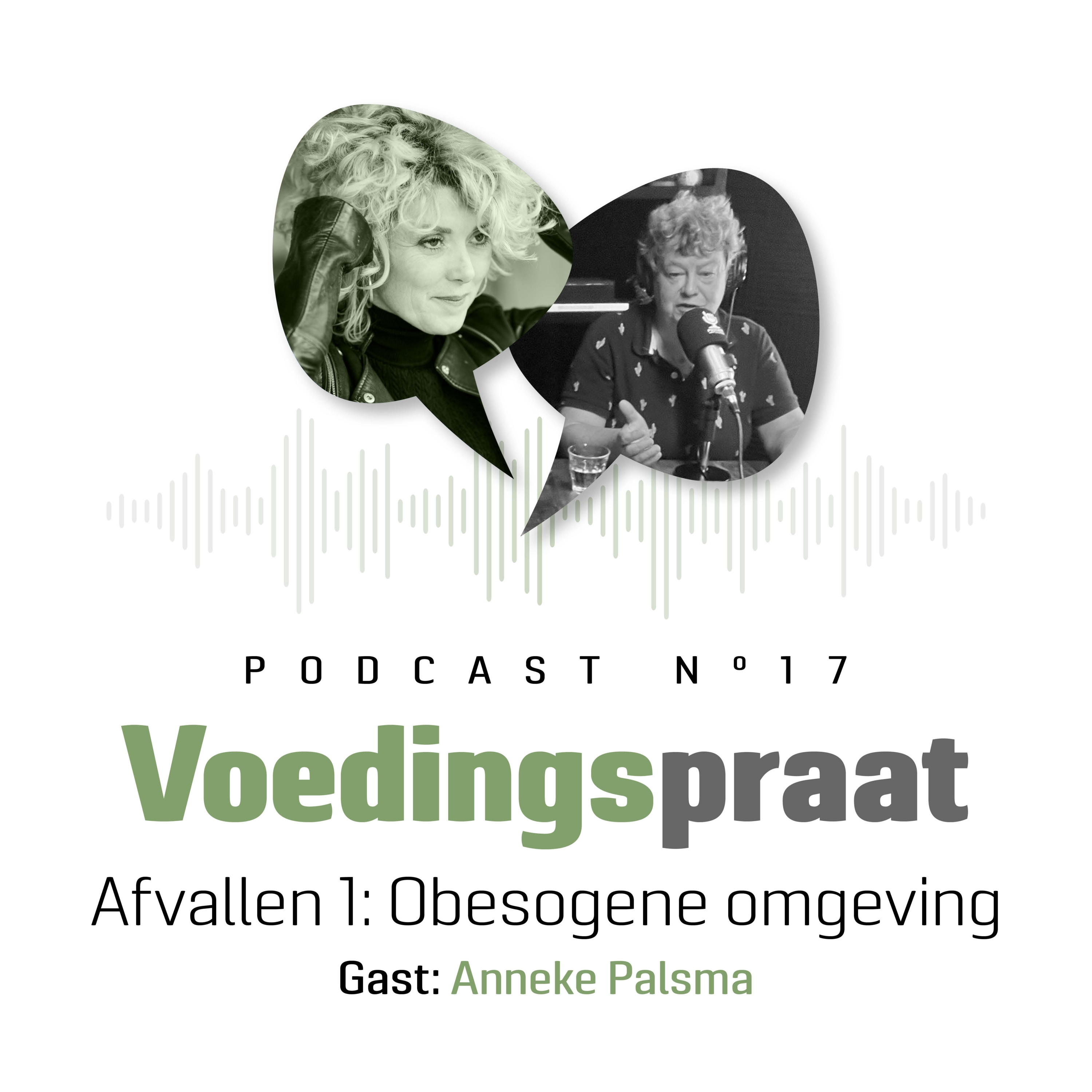 Afvallen deel 1 : Obesogene omgeving